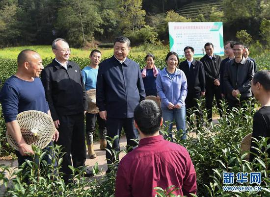3月22日至25日,中共中央总书记、国家主席、中央军委主席习近平在福建考察。这是22日下午,习近平在南平武夷山市星村镇燕子窠生态茶园,同科技特派员、茶农亲切交流,了解当地茶产业发展情况。新华社记者 燕雁 摄 3月22日至25日,中共中央总书记、国家主席、中央军委主席习近平在福建考察。这是22日下午,习近平在南平武夷山市星村镇燕子窠生态茶园,同科技特派员、茶农亲切交流,了解当地茶产业发展情况。新华社记者 燕雁 摄