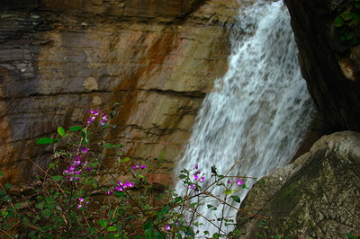 Day-trip to Yun Tai Mountain